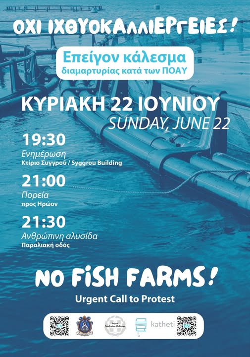 Δημοτικό Λιμενικό Ταμείο Πόρου